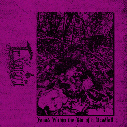 Tree Gardener : Found Within the Rot of a Deadfall